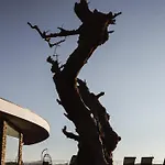 Quinta Vale Papas Casa de Férias *