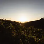 Quinta Vale Papas *