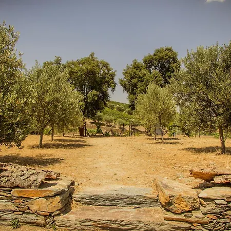 Quinta Vale Papas Holiday home *