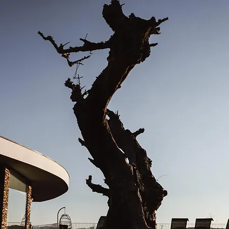 Quinta Vale Papas Feriehus *