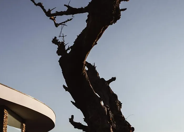 Quinta Vale Papas Tatil Evi *