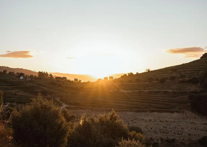 Quinta Vale Papas 펜션