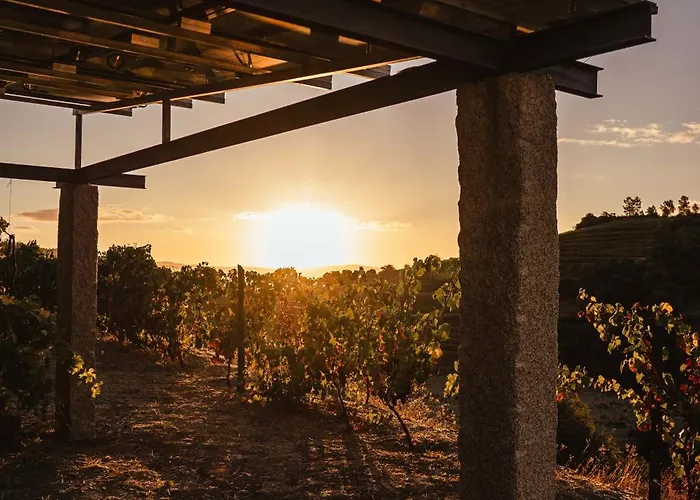 Quinta Vale Papas Tatil Evi